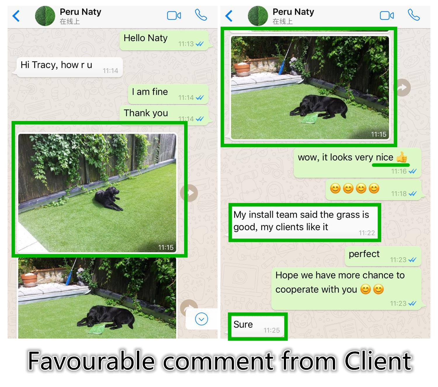 realistic artificial grass.jpg