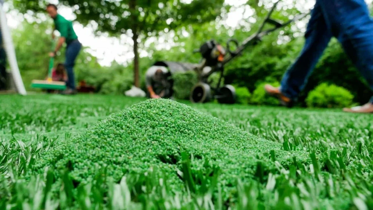 landscape grass landscape grass